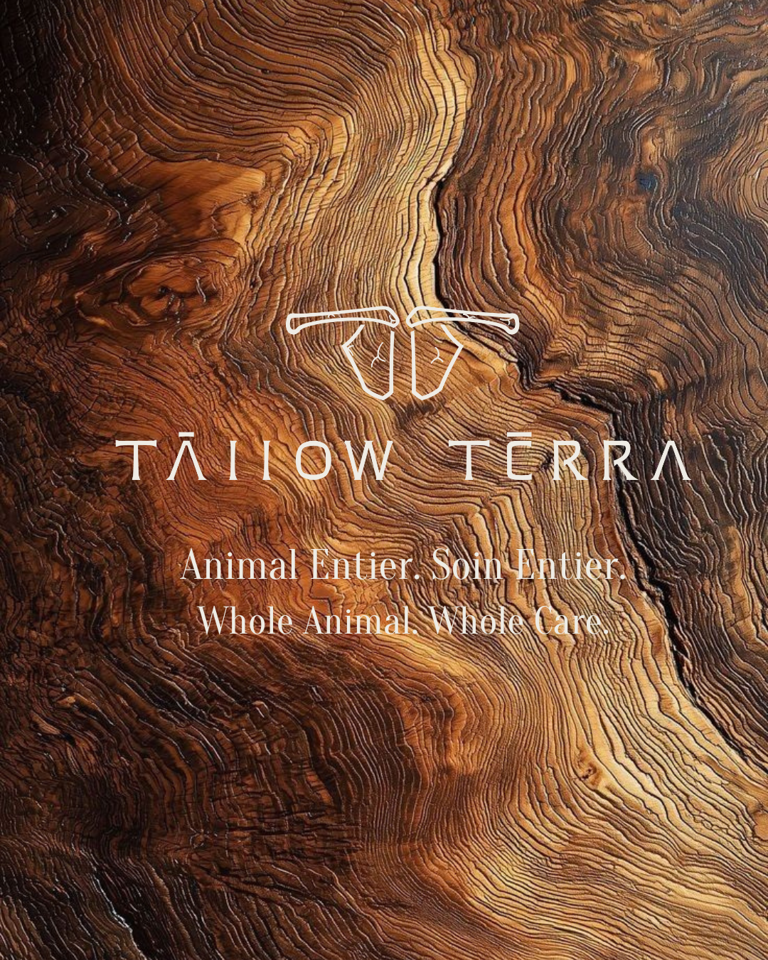 Tāllow Tērra Lip Balm