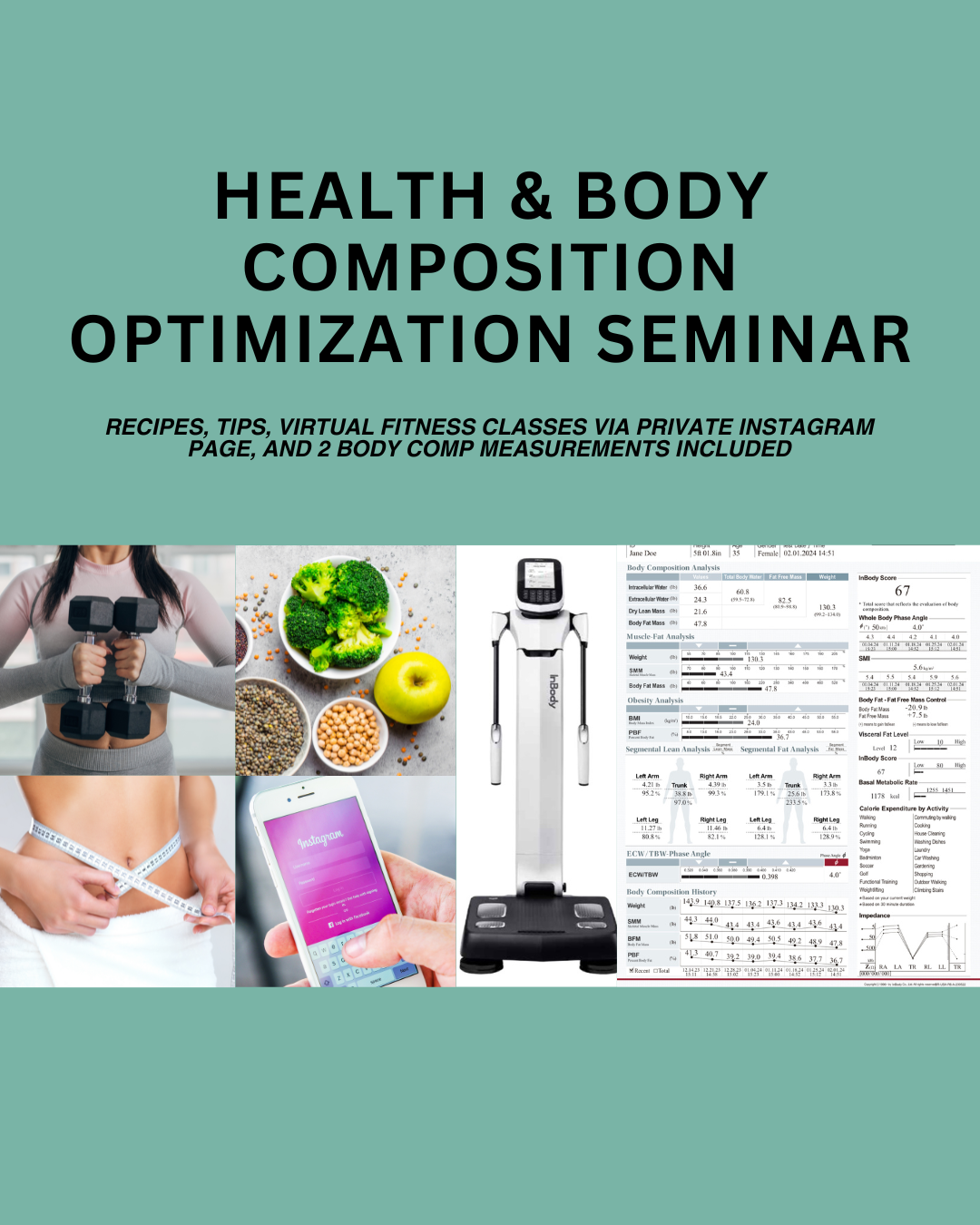 Programme d'optimisation de la santé et de la composition corporelle (transformation de 6 semaines et accès à la page IG privée)