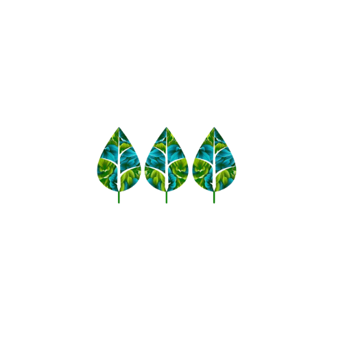 Liana Di Tomaso - Ayurvedic Holistic Services