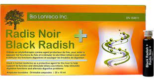 Radis noir Bio lonreco +