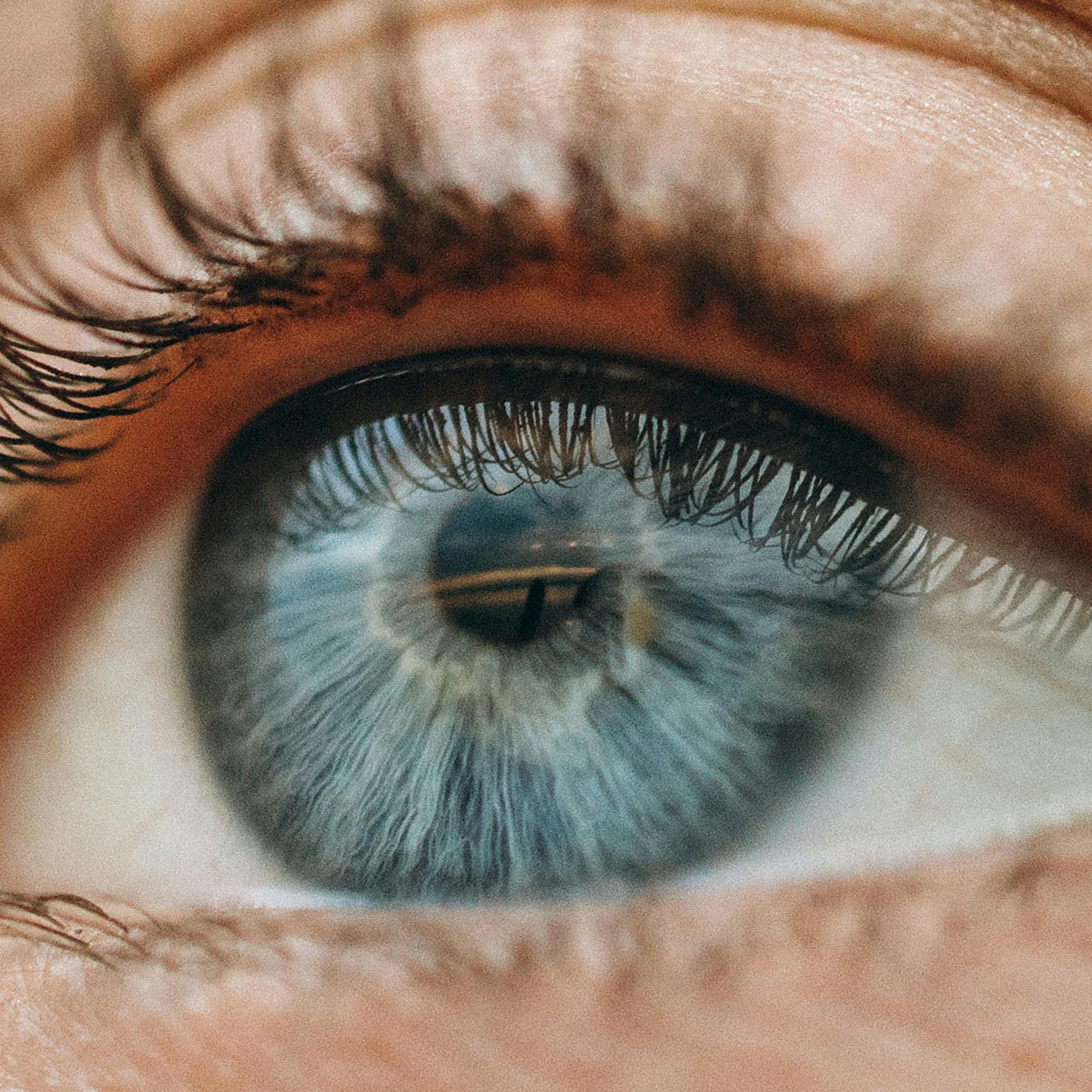 Iridology