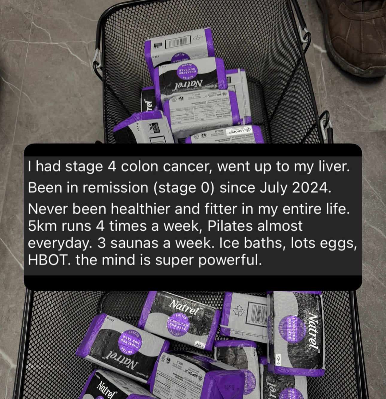 Health and Body Composition Optimization Program (6 week transformation and private IG page access)