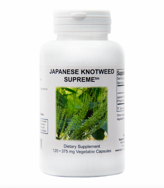 Renouée du Japon suprême