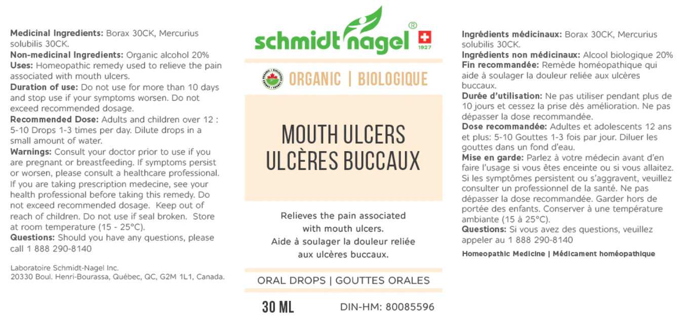 Mouth ulcers