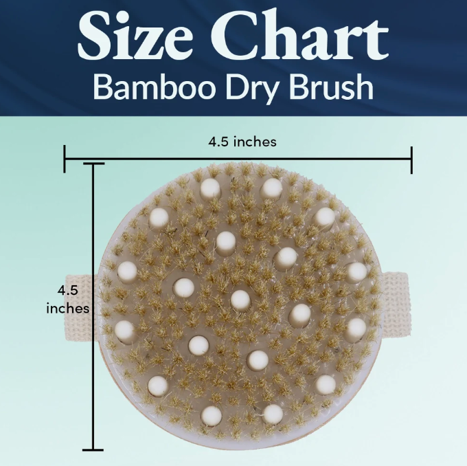 Bamboo Dry Brush