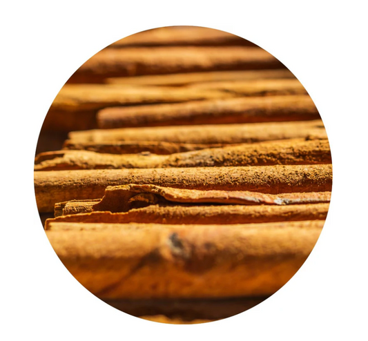 Cinnamon Bark Essential Oil 5ml