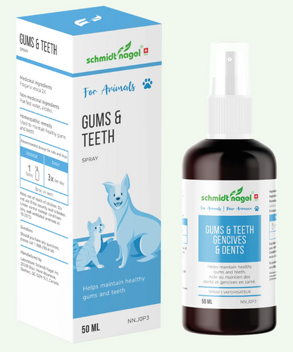 Gums & Teeth (for animals)