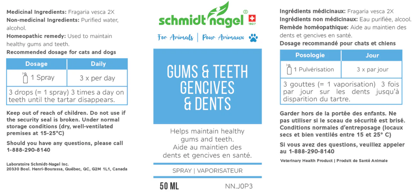 Gums & Teeth (for animals)